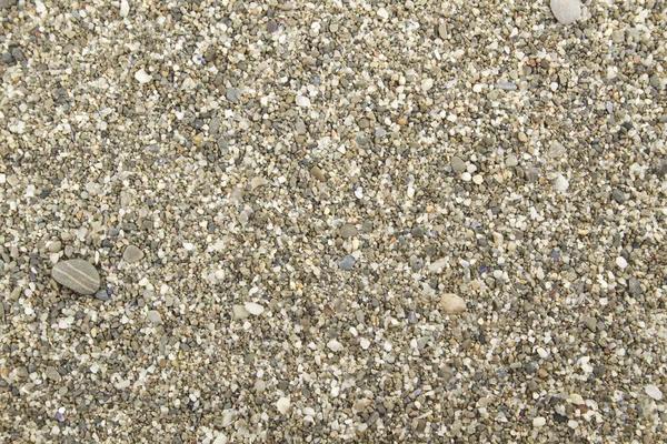 海滩上的鹅卵石 — 图库照片