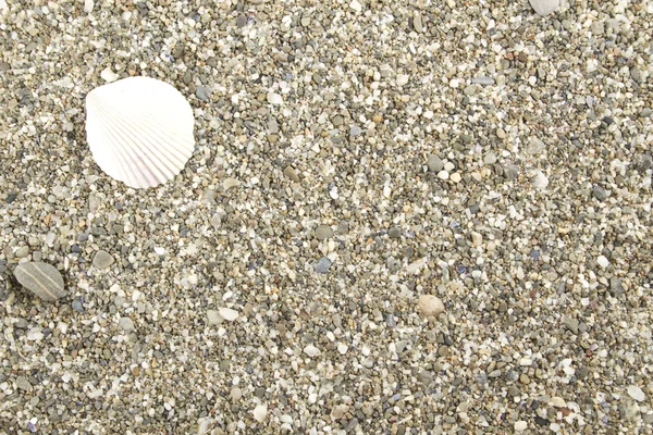 Seixos na praia — Fotografia de Stock