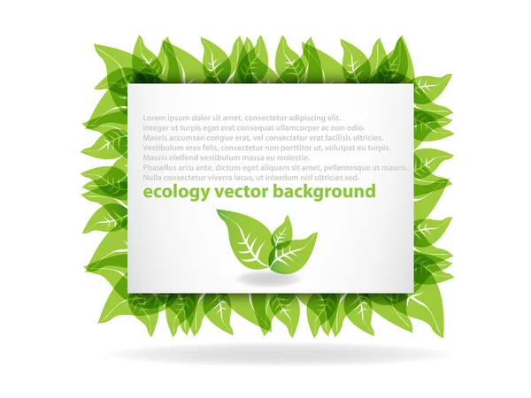 Čerstvé zelené pozadí — Stockový vektor