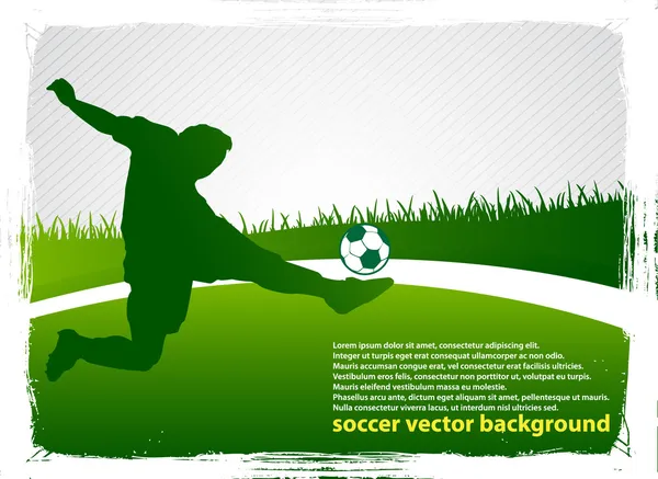Soccer with soccer ball — Stock Vector