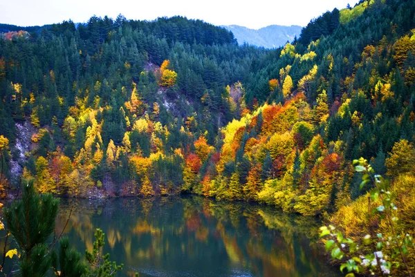 ブルガリアの秋 — ストック写真