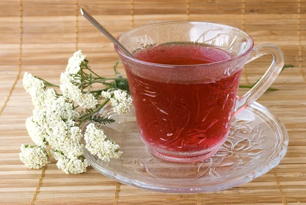 Achillea millefolium tea — Photo