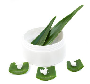 aloe vera yaprağı ve krem