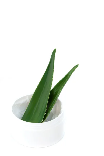 Aloe vera leaves and cream — Stock Photo, Image