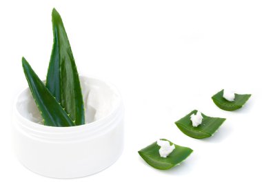 aloe vera yaprağı ve krem