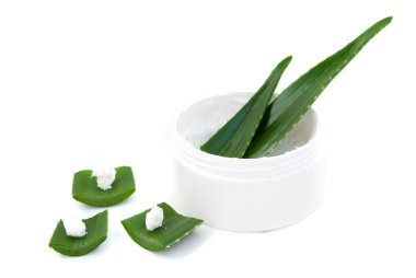 aloe vera yaprağı ve krem