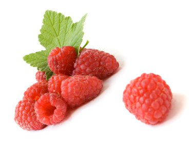 Raspberries clipart