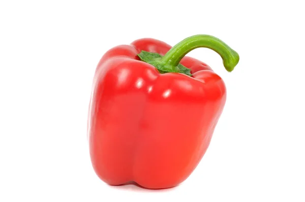 Peperoni alla paprica — Foto Stock