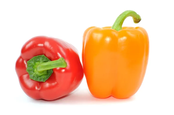 Paprika papriky — Stock fotografie