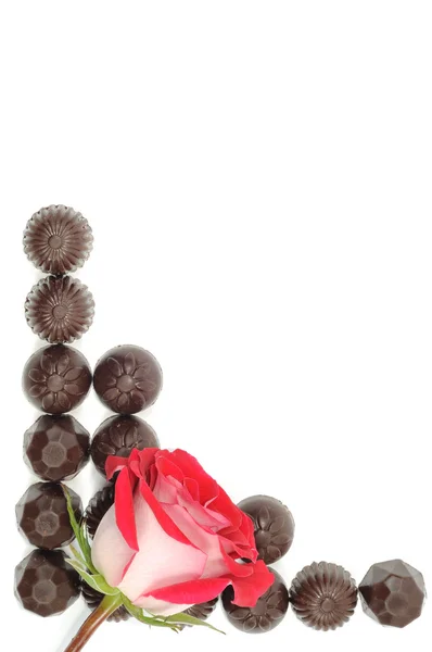 Rose és csokoládé — Stock Fotó