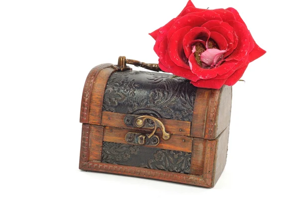 Truhla s pokladem a růže — Stock fotografie