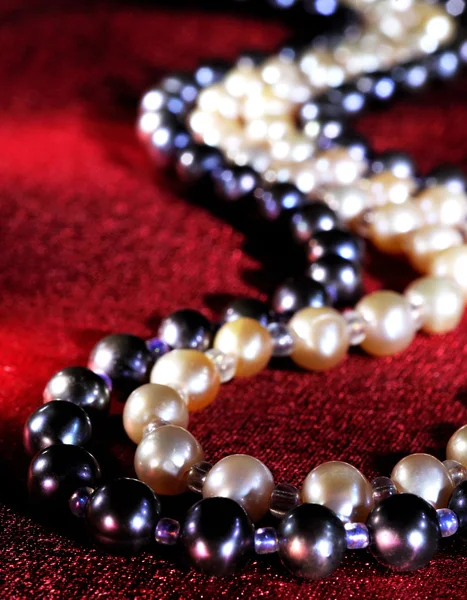 珍珠项链 — 图库照片