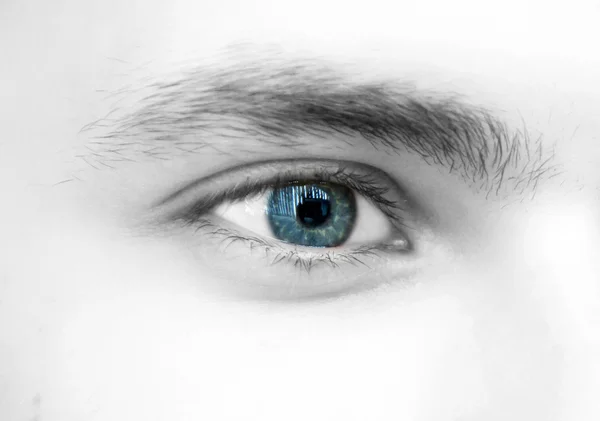 stock image Blue eye