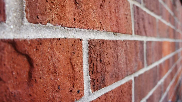 Stock image Brick wall