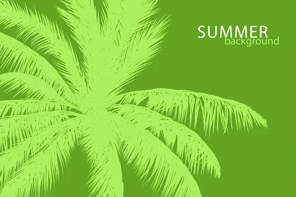 Palmier tropical — Image vectorielle