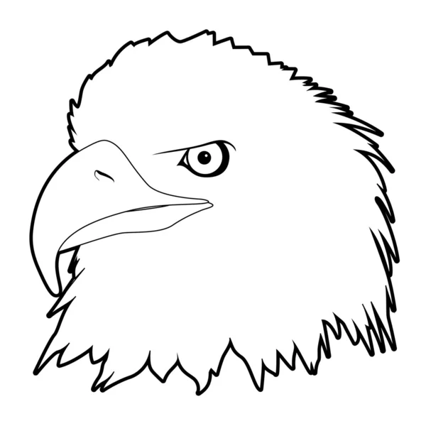 Cabeça de águia desenhada — Vetor de Stock