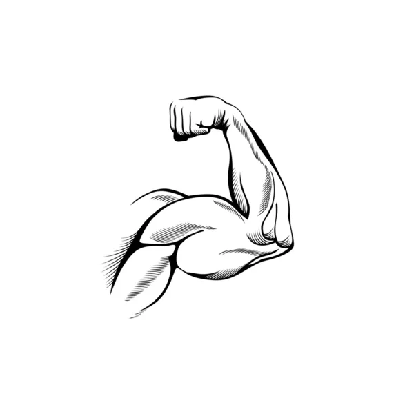 手臂肌肉 — 图库矢量图片#
