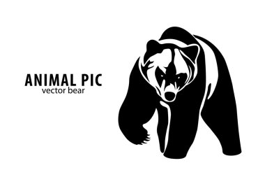 Vector Bear clipart