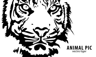 Vector tiger clipart