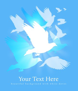 White doves background clipart