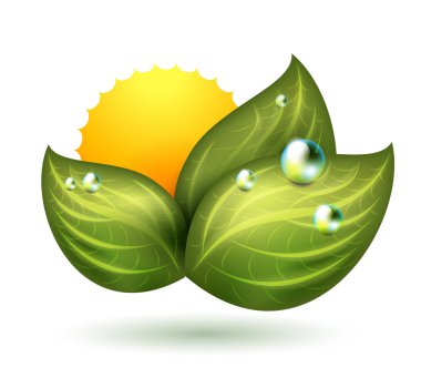 Vector nature symbol clipart