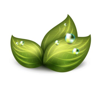 yeşil yaprak simgesi