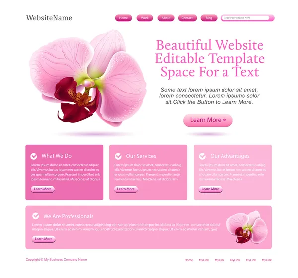 Modèle de site Web pour les beautés — Image vectorielle