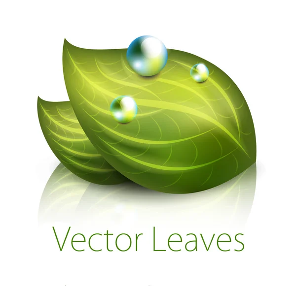 Icône feuilles vert vectoriel — Image vectorielle