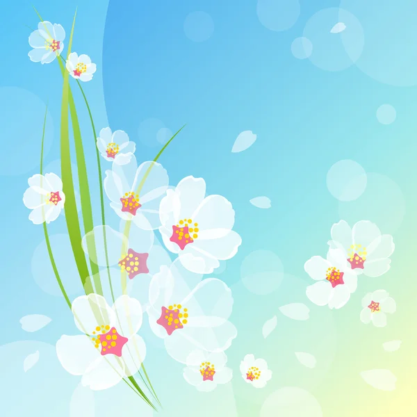 Beautiful spring background — Stock Vector