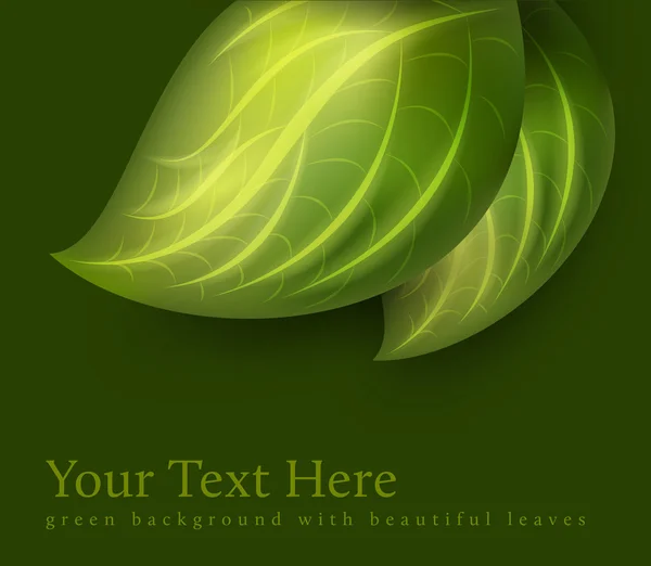 Vector green leaves close up — Stock Vector