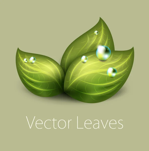 Icona foglie verdi — Vettoriale Stock