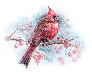 Birds art clipart