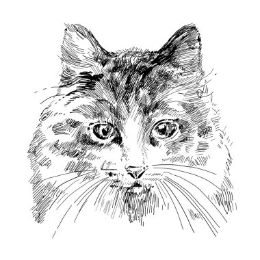 Cat sketch clipart