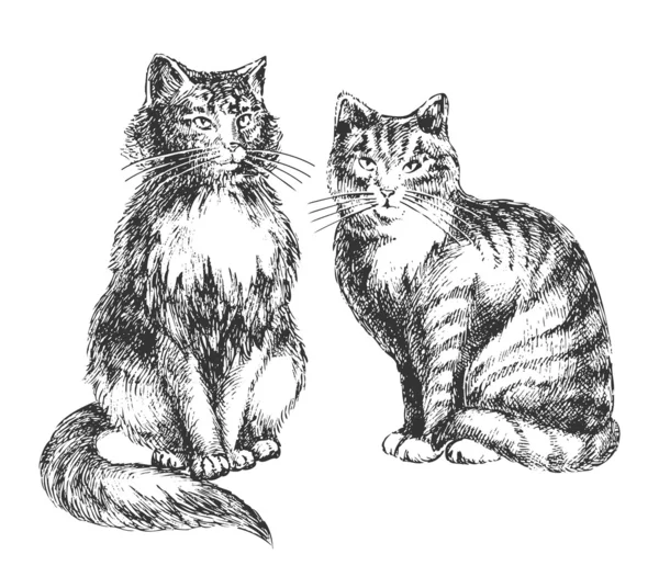 Arte de gatos — Archivo Imágenes Vectoriales
