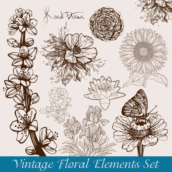 Vintage çiçek seti — Stok Vektör