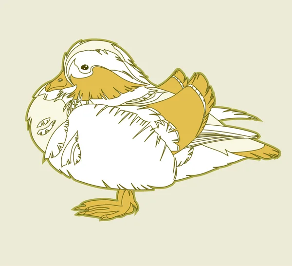 Vogel afbeelding — Stockvector