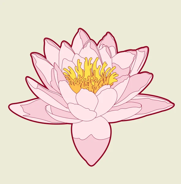 Lotus - ρετρό εικονογράφηση — Διανυσματικό Αρχείο