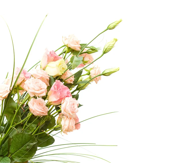 Spring flower on white background — Stock Photo, Image