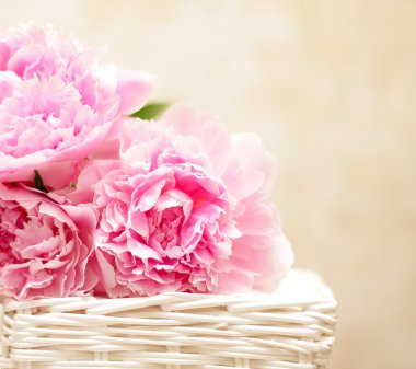 Peony flowers - background in the Victorian style clipart