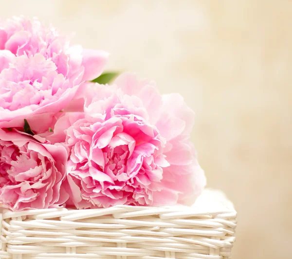 Peony flowers - background in the Victorian style — Stock Photo, Image