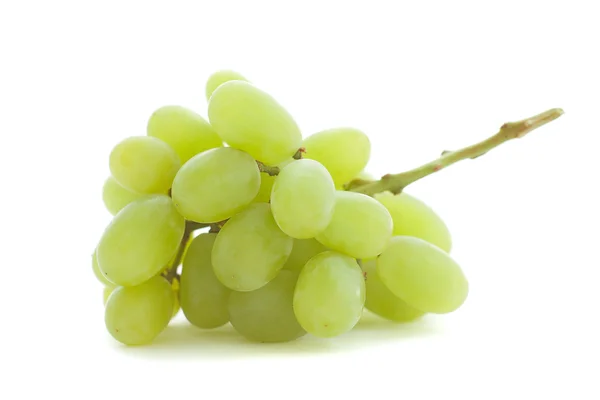 Grüne Trauben isoliert auf weiß — Stockfoto