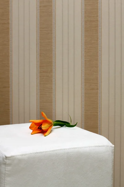 Çizgili duvar kağıdı ve turuncu Zambak çiçeği - arka plan — Stok fotoğraf