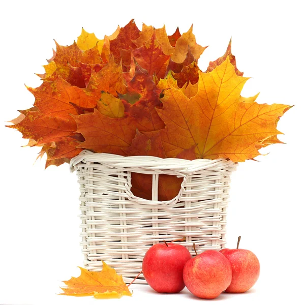 美丽的秋天叶子和孤立的红苹果 — 图库照片
