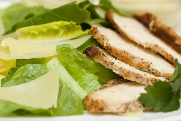 Fleisch mit grünem Salat — Stockfoto