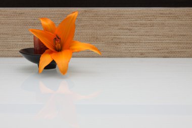 Lily flower on textured ceramic tile - background