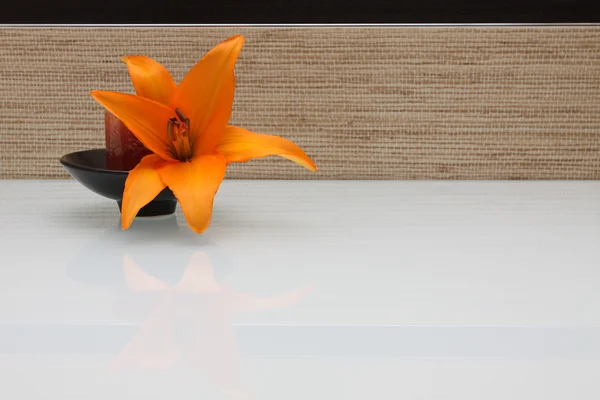 Цветок Лили на текстурированной керамической плитке - фон — стоковое фото