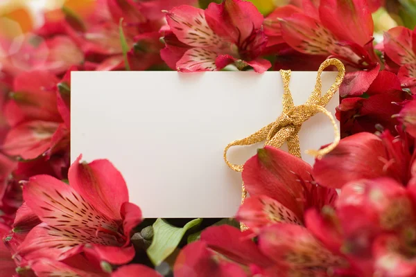 Flores vermelhas e cartão branco vazio — Fotografia de Stock