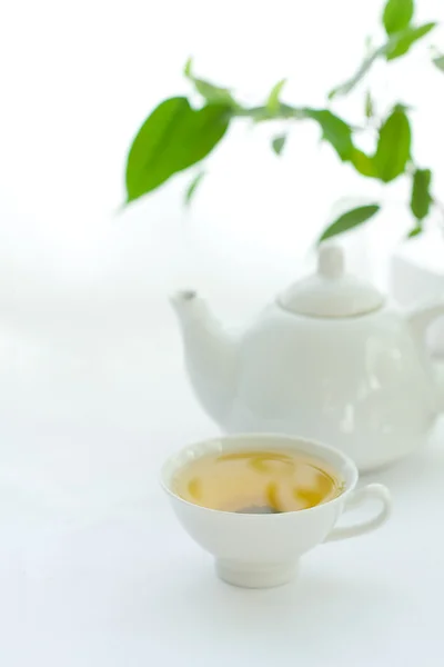 Bílý hrnek s čajem — Stock fotografie