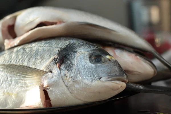 stock image Prepared Fish in Restaurant Kitchen