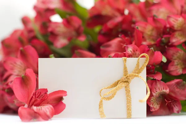 Cartão branco vazio e flores vermelhas — Fotografia de Stock